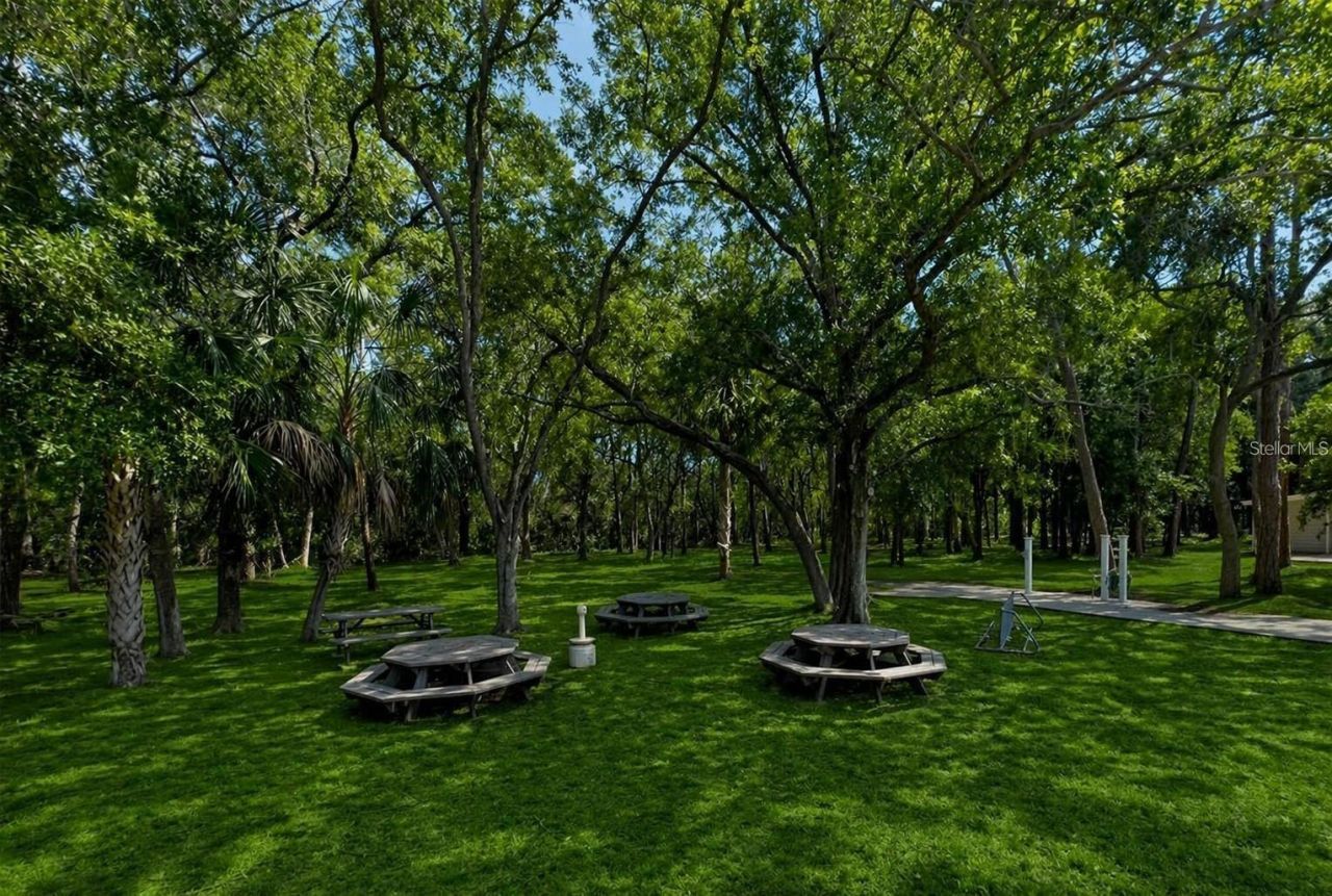 1400 Gandy Boulevard N, Unit 816, Saint Petersburg, FL 33702 Photo