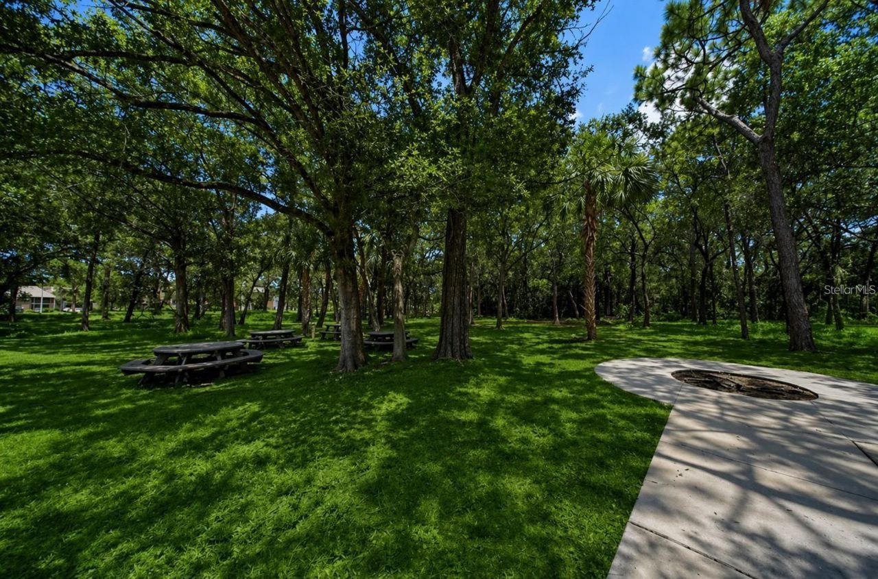 1400 Gandy Boulevard N, Unit 816, Saint Petersburg, FL 33702 Photo
