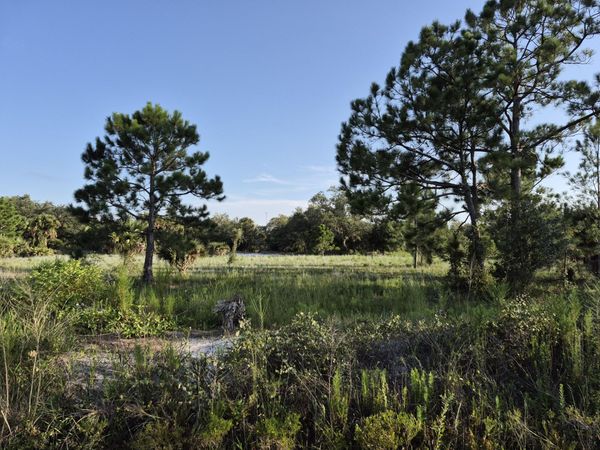 16810 NW 292ND Street, Okeechobee, FL 34972
