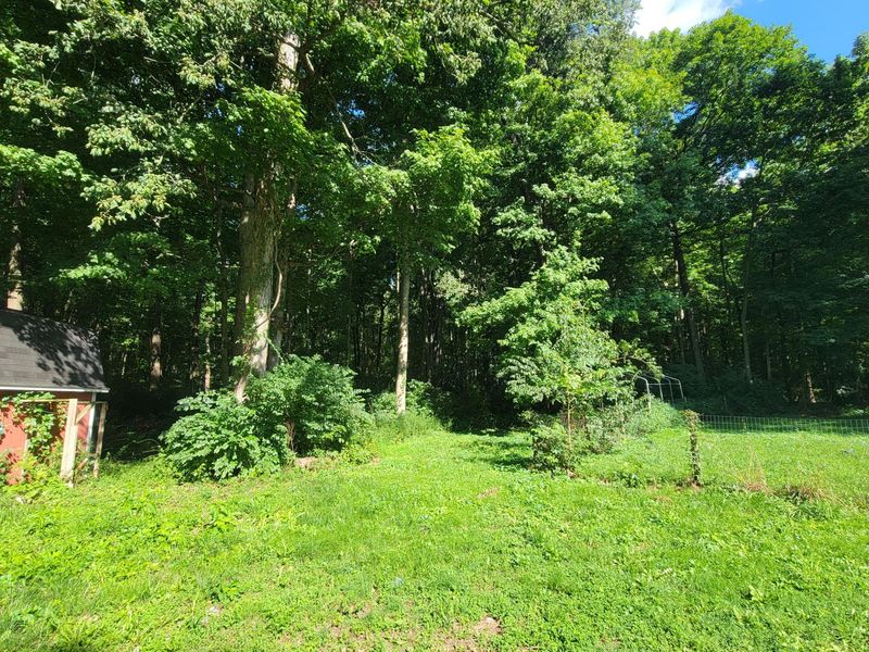 2910 Fowler Road, Springfield, OH 45502 Photo 6