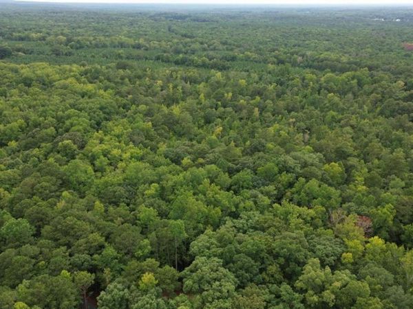 0 Roosevelt HWY - 20.58 Acres, Warm Springs, GA 31830