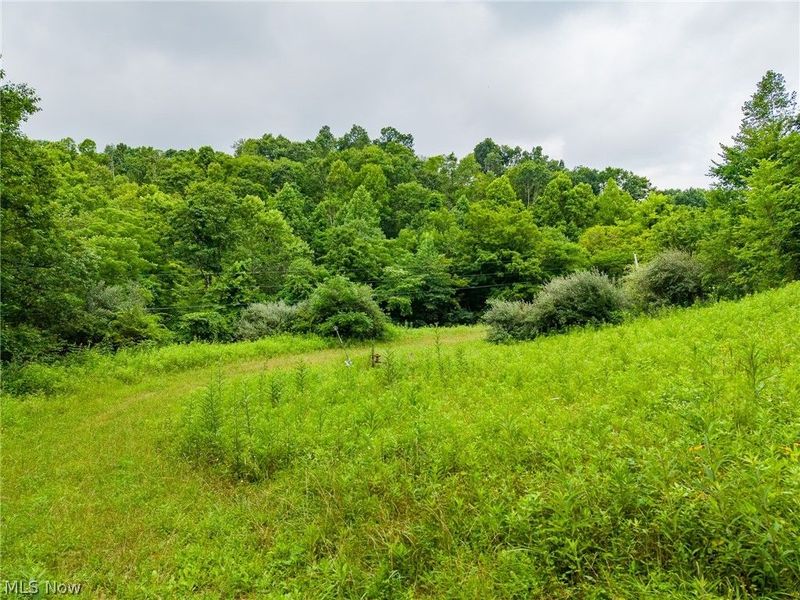 Sheepskin Road, Lower Salem, OH 45745 Photo 14