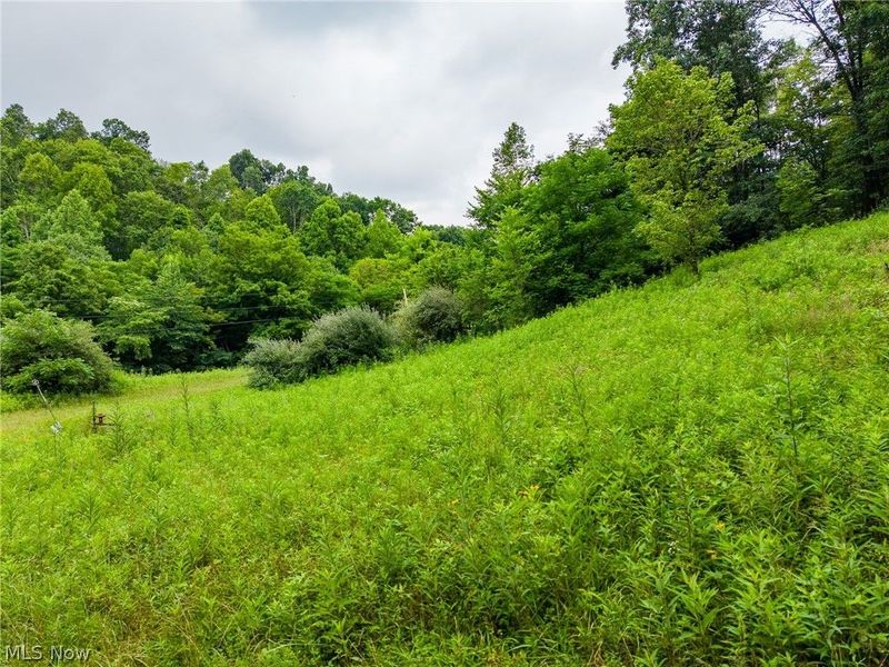 Sheepskin Road, Lower Salem, OH 45745 Photo 15