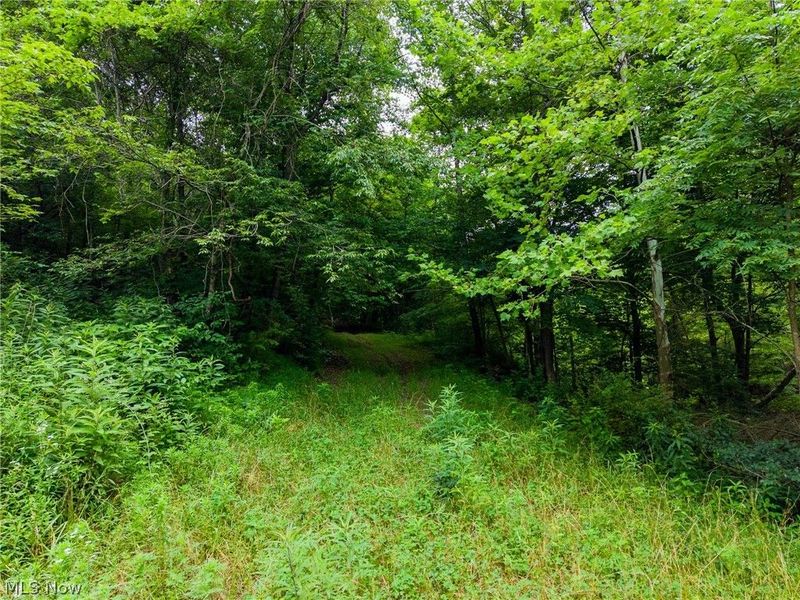 Sheepskin Road, Lower Salem, OH 45745 Photo 16