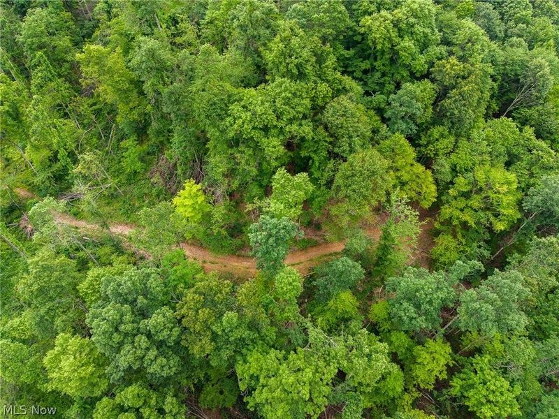 Sheepskin Road, Lower Salem, OH 45745 Photo 18