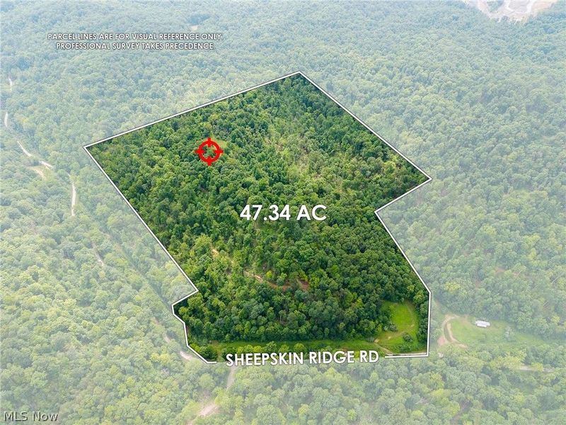 Sheepskin Road, Lower Salem, OH 45745 Photo 3