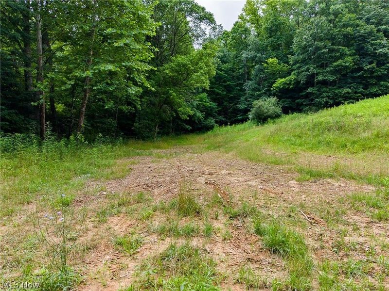 Sheepskin Road, Lower Salem, OH 45745 Photo 30