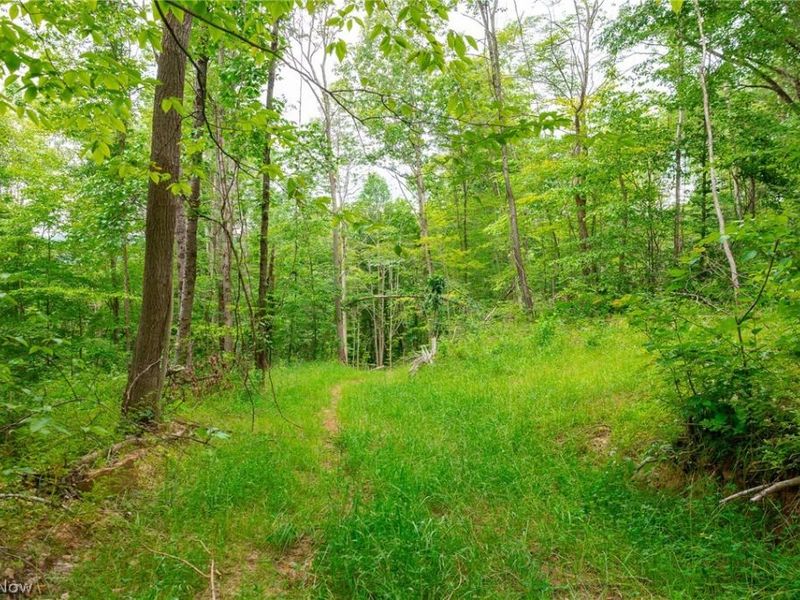 Sheepskin Road, Lower Salem, OH 45745 Photo 32