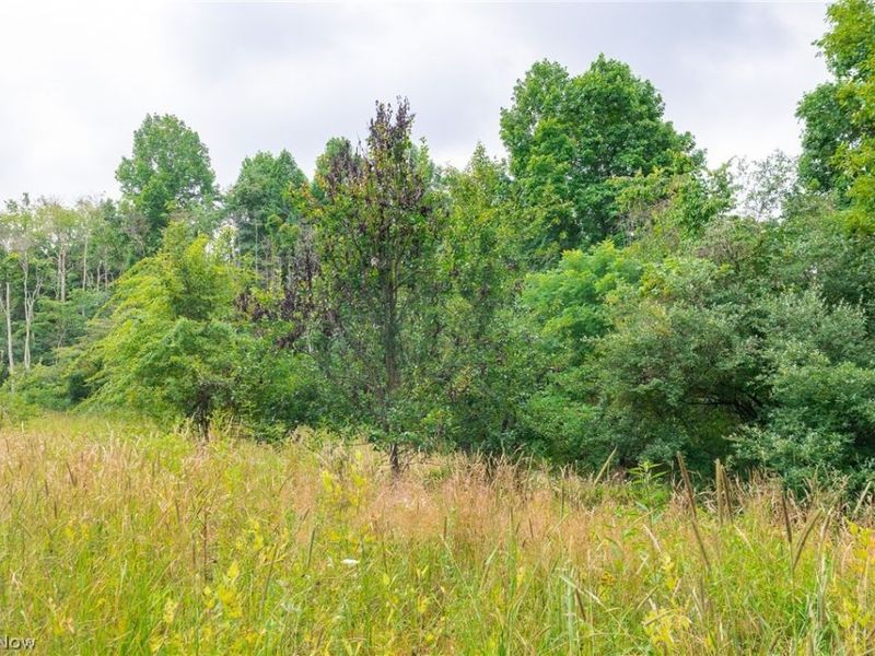 Sheepskin Road, Lower Salem, OH 45745 Photo 33