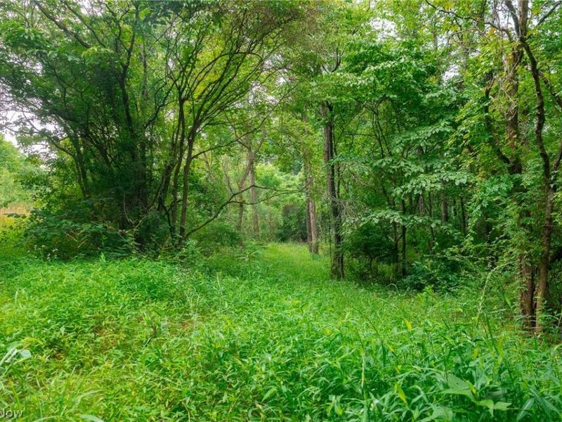 Sheepskin Road, Lower Salem, OH 45745 Photo 34