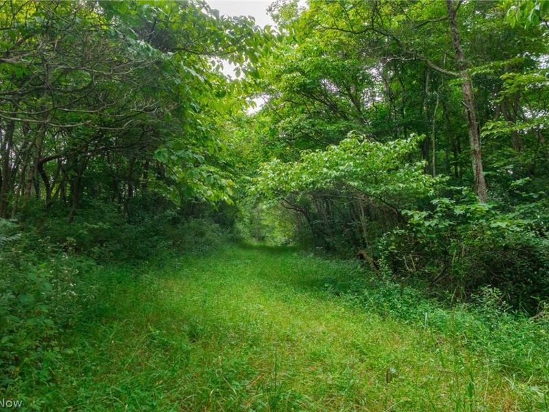 Sheepskin Road, Lower Salem, OH 45745 Photo 35