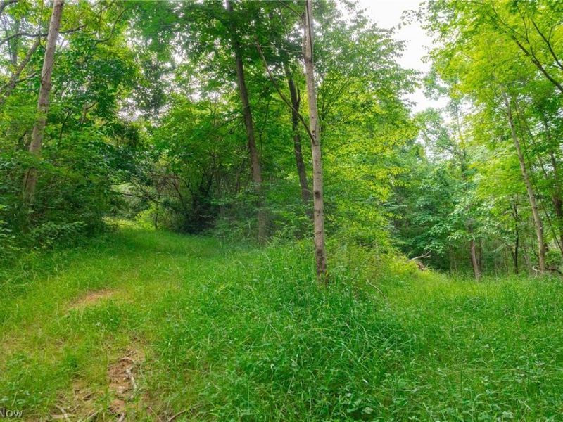 Sheepskin Road, Lower Salem, OH 45745 Photo 36