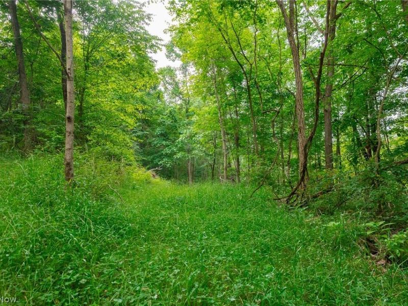 Sheepskin Road, Lower Salem, OH 45745 Photo 37