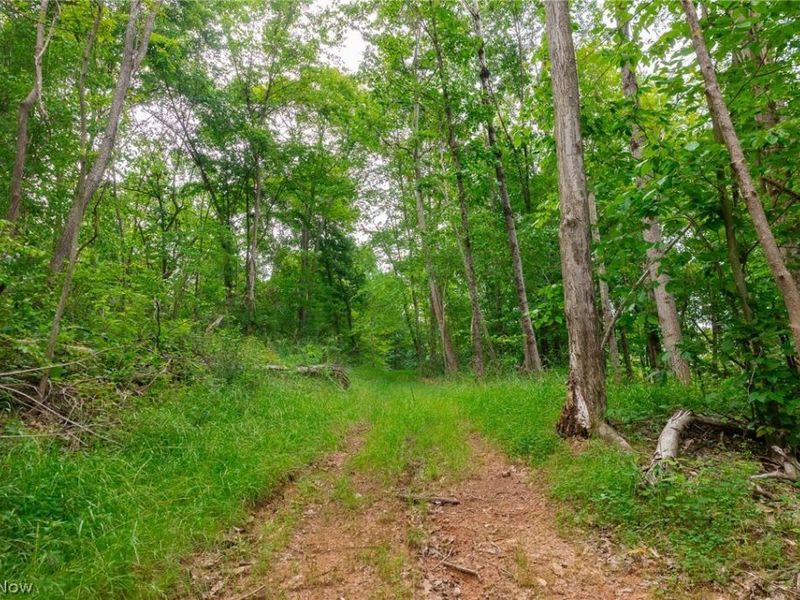 Sheepskin Road, Lower Salem, OH 45745 Photo 38