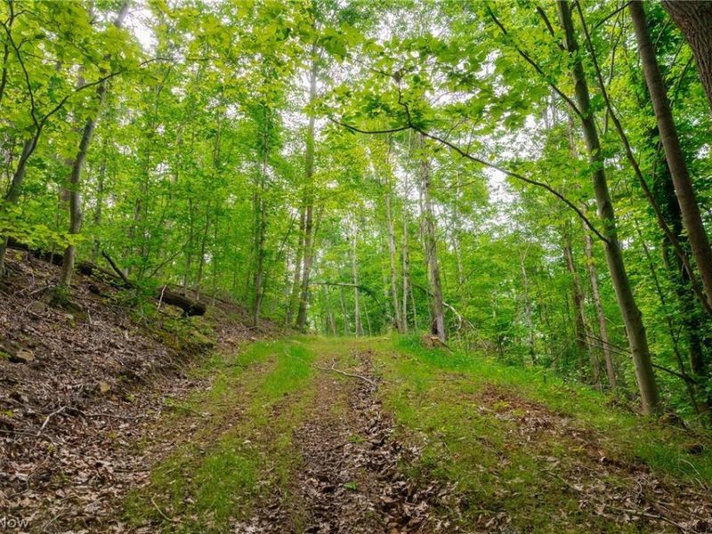 Sheepskin Road, Lower Salem, OH 45745 Photo 39