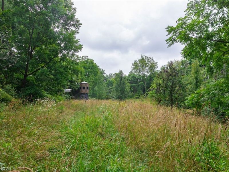 Sheepskin Road, Lower Salem, OH 45745 Photo 4