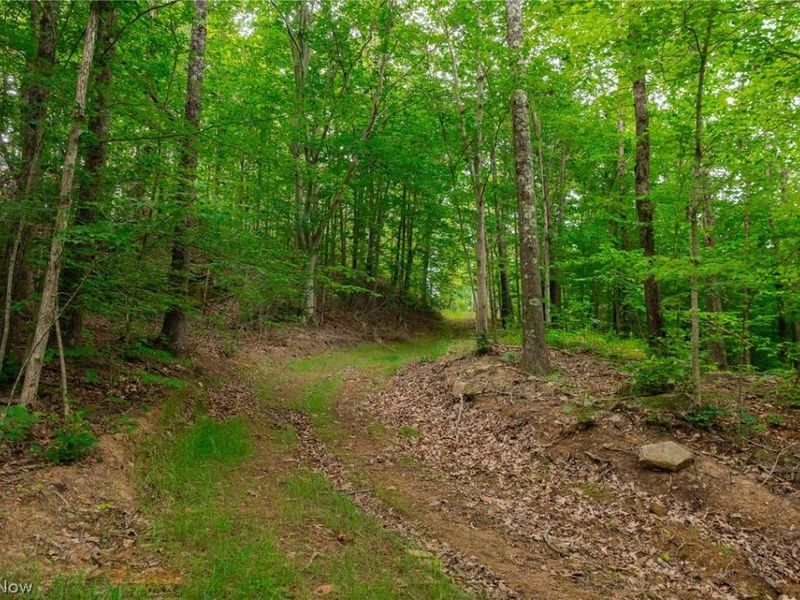 Sheepskin Road, Lower Salem, OH 45745 Photo 41