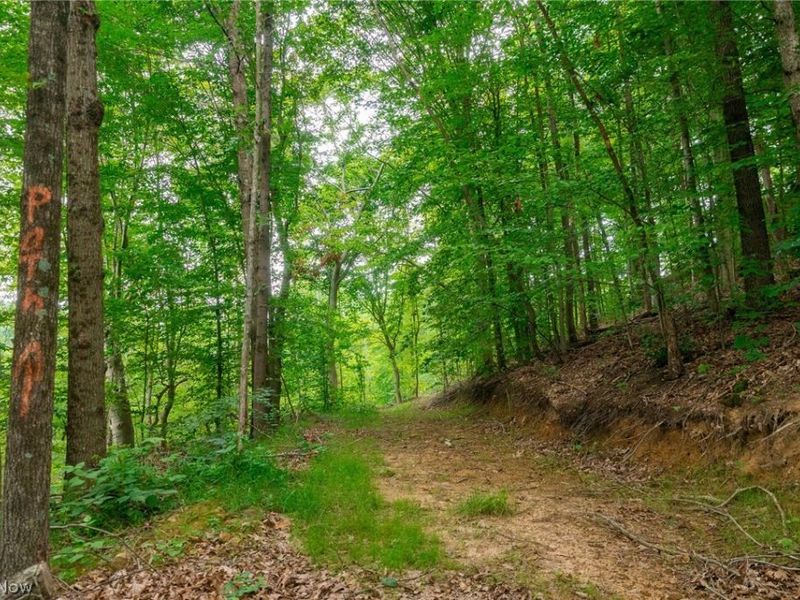 Sheepskin Road, Lower Salem, OH 45745 Photo 42