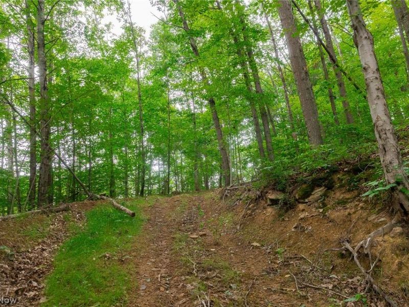 Sheepskin Road, Lower Salem, OH 45745 Photo 43