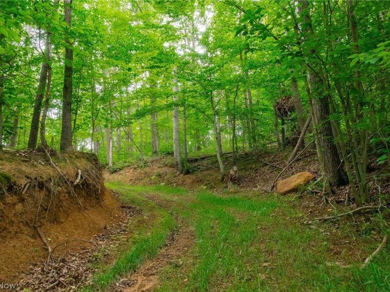 Sheepskin Road, Lower Salem, OH 45745 Photo 44