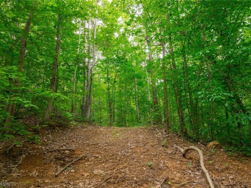 Sheepskin Road, Lower Salem, OH 45745 Photo 45
