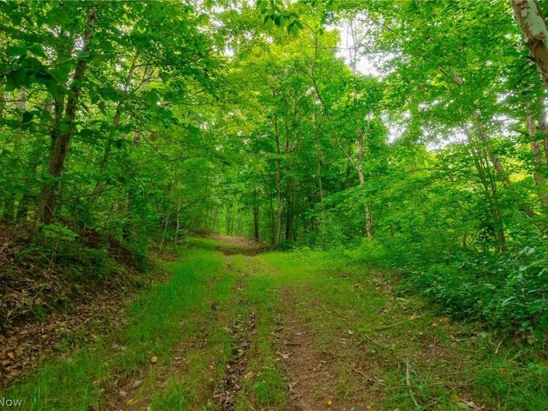 Sheepskin Road, Lower Salem, OH 45745 Photo 46