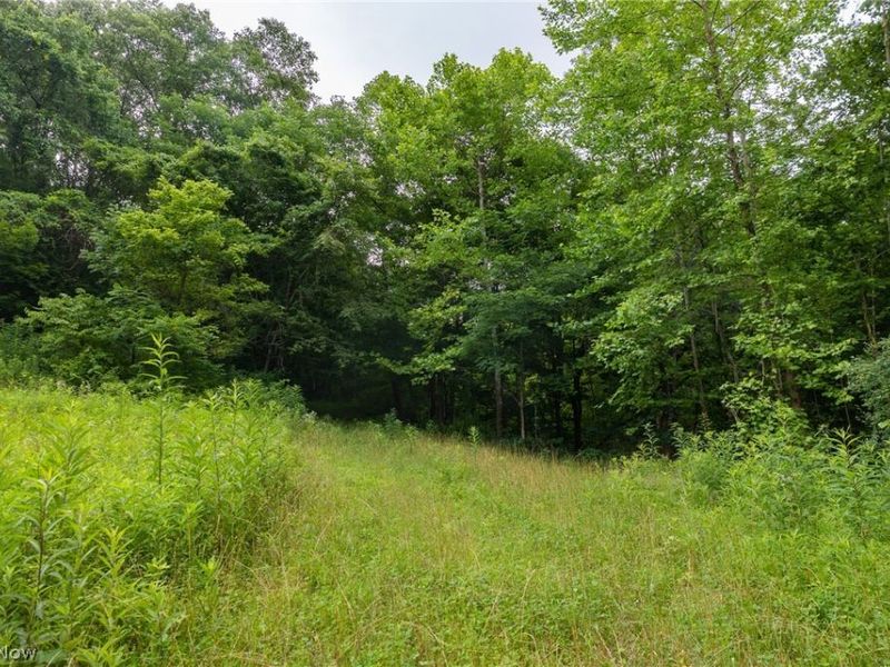 Sheepskin Road, Lower Salem, OH 45745 Photo 47