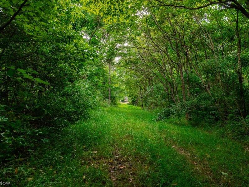 Sheepskin Road, Lower Salem, OH 45745 Photo 8
