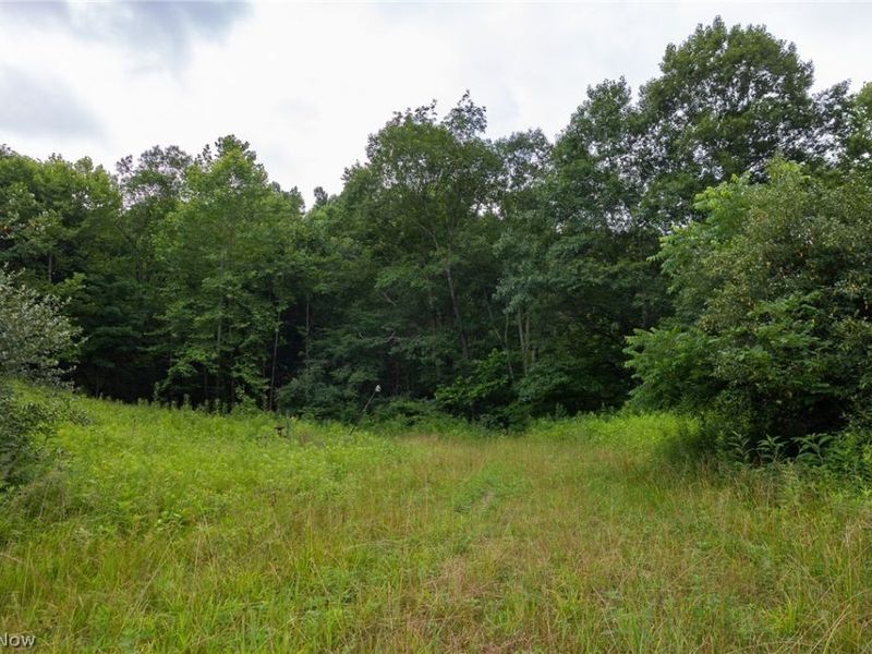Sheepskin Road, Lower Salem, OH 45745 Photo 9