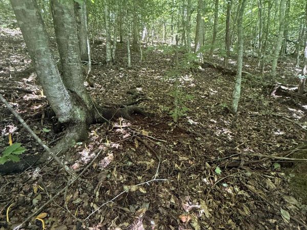 0 Suttons Rd, Sevierville, TN 37876