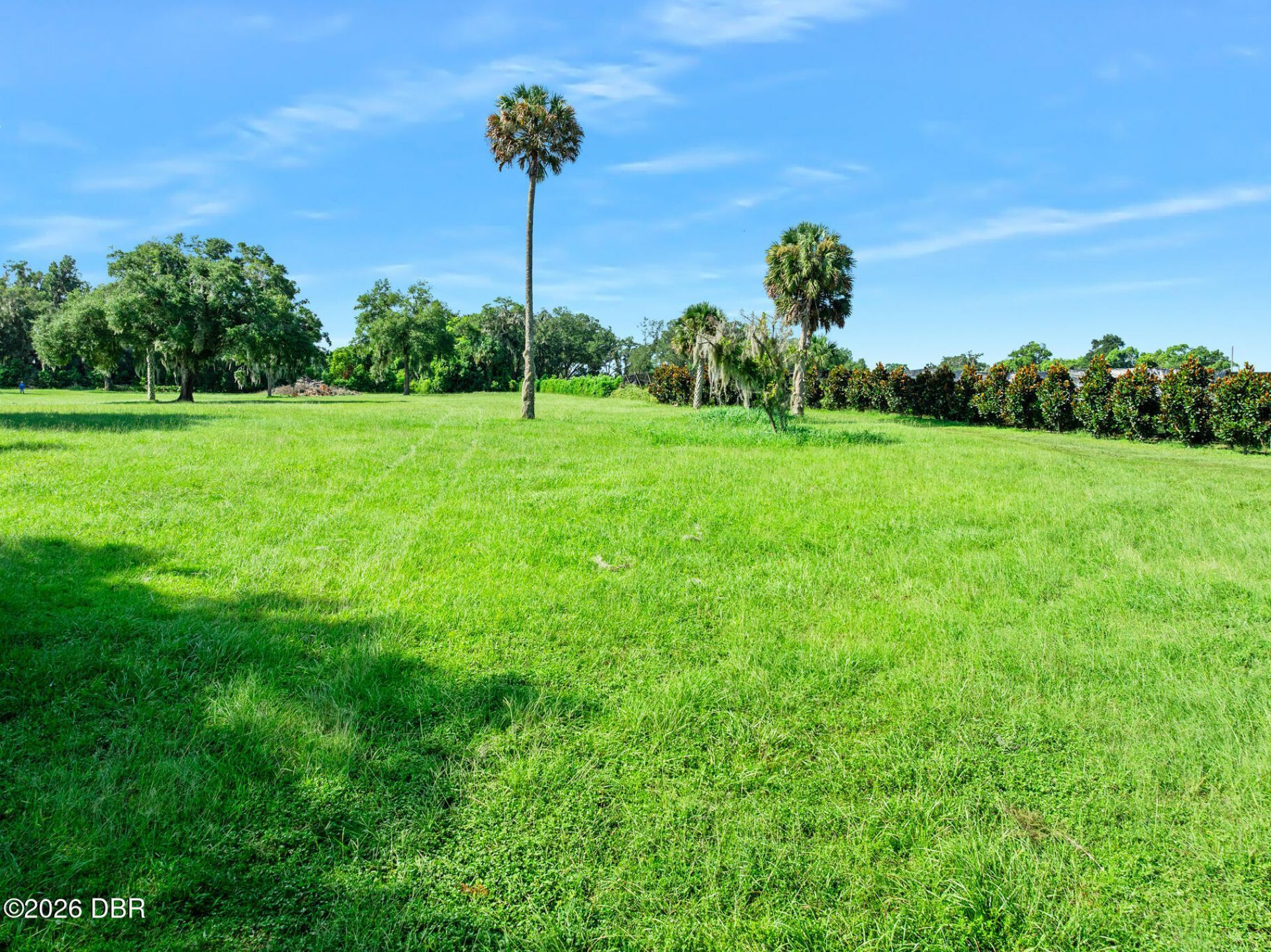 0 Blackburn Road, Pierson, FL 32180 Photo