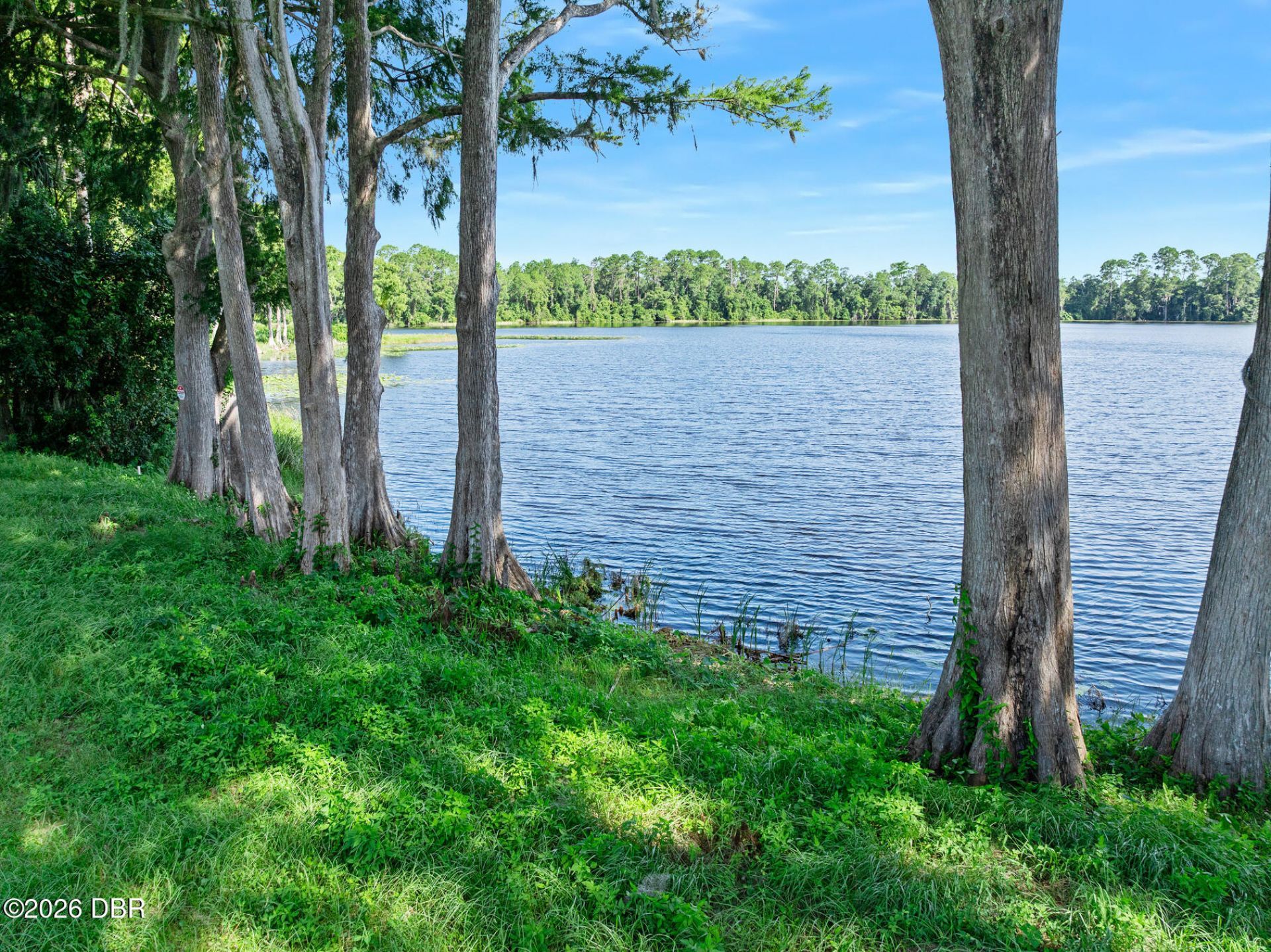 0 Blackburn Road, Pierson, FL 32180 Photo