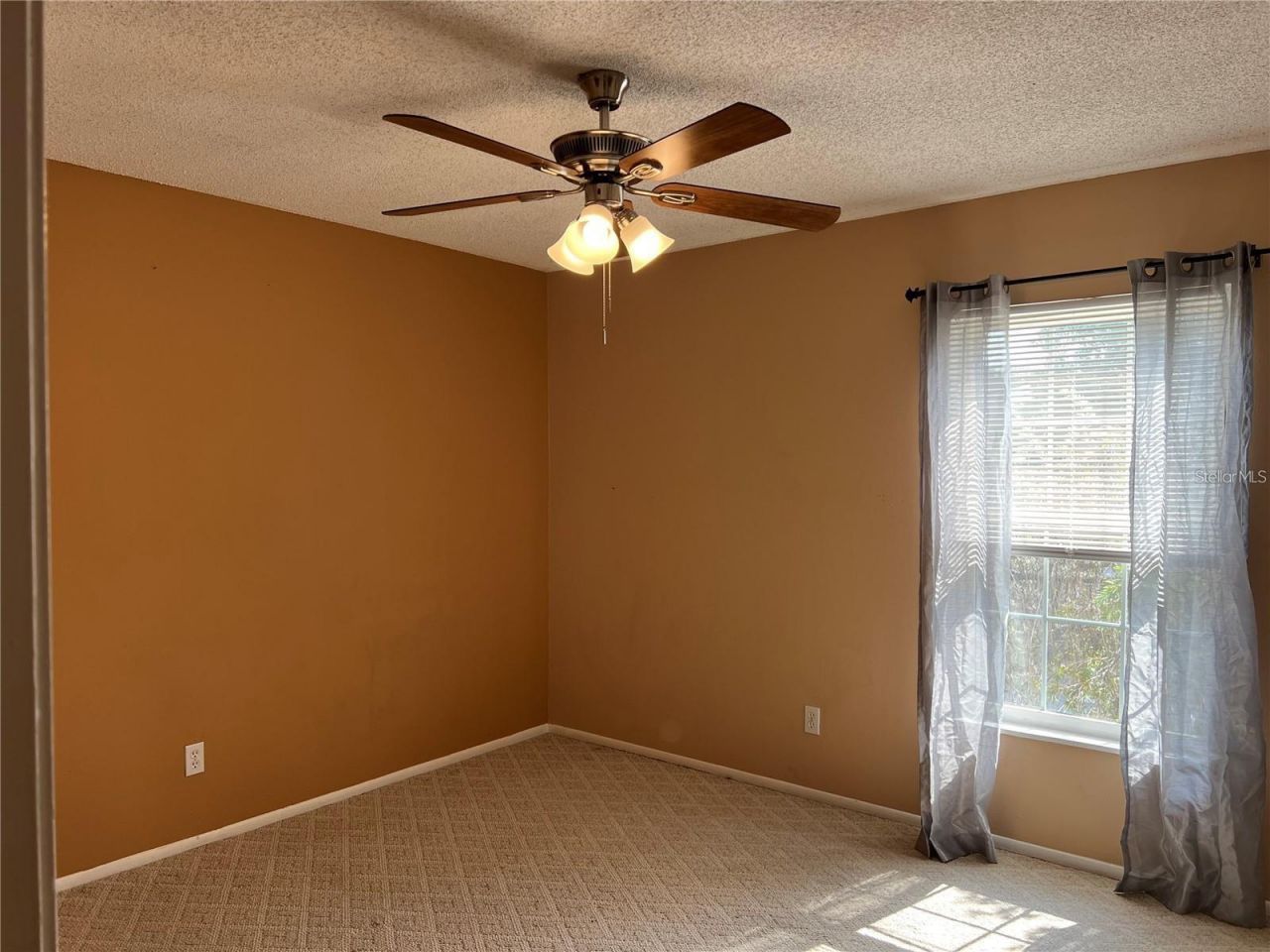 8542 10th Street N, Unit C, Saint Petersburg, FL 33702 Photo