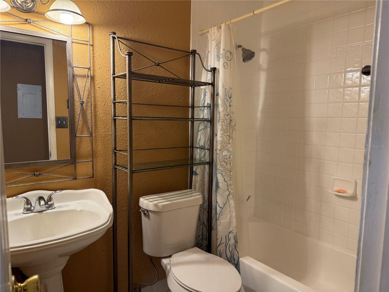 8542 10th Street N, Unit C, Saint Petersburg, FL 33702 Photo