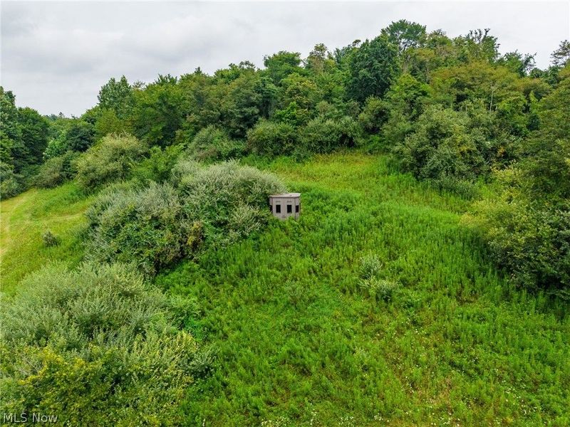 Harrons Ridge Road, Dexter City, OH 45727 Photo 14