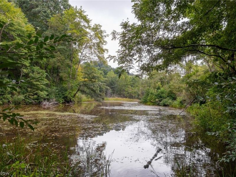 Harrons Ridge Road, Dexter City, OH 45727 Photo 15
