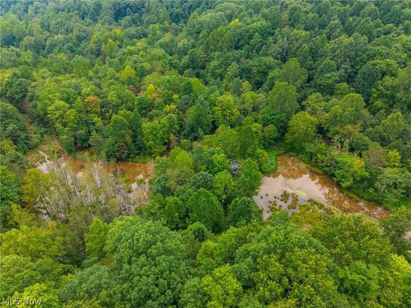 Harrons Ridge Road, Dexter City, OH 45727 Photo 16