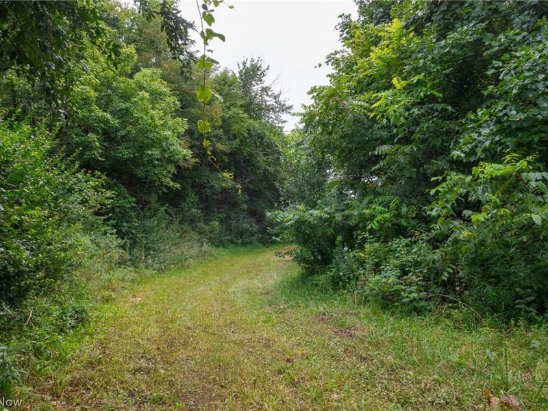 Harrons Ridge Road, Dexter City, OH 45727 Photo 17