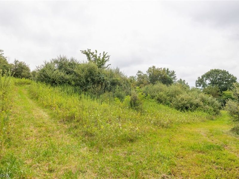 Harrons Ridge Road, Dexter City, OH 45727 Photo 18