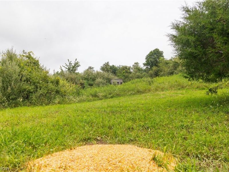 Harrons Ridge Road, Dexter City, OH 45727 Photo 19