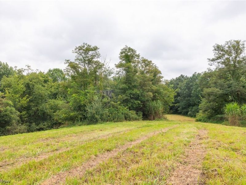 Harrons Ridge Road, Dexter City, OH 45727 Photo 20
