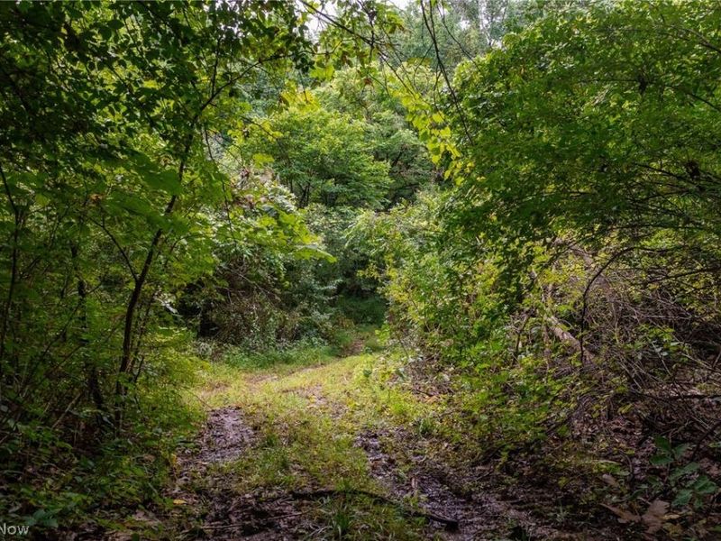 Harrons Ridge Road, Dexter City, OH 45727 Photo 22