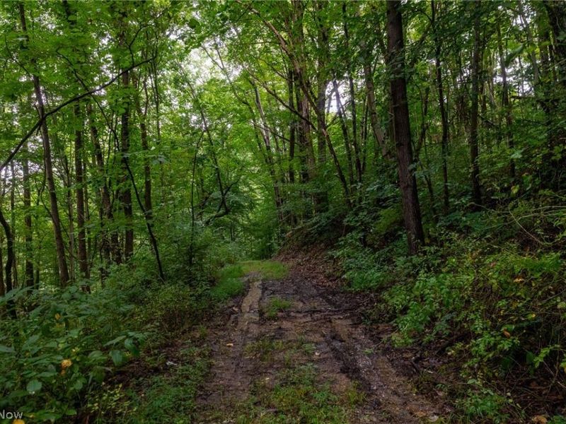 Harrons Ridge Road, Dexter City, OH 45727 Photo 23