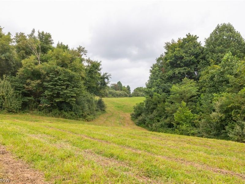 Harrons Ridge Road, Dexter City, OH 45727 Photo 24