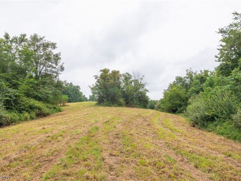 Harrons Ridge Road, Dexter City, OH 45727 Photo 26