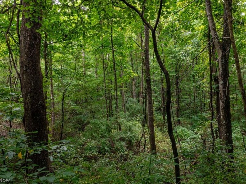 Harrons Ridge Road, Dexter City, OH 45727 Photo 28