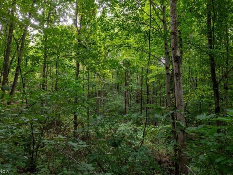 Harrons Ridge Road, Dexter City, OH 45727 Photo 29
