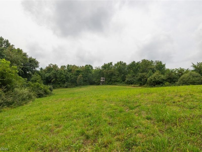 Harrons Ridge Road, Dexter City, OH 45727 Photo 3
