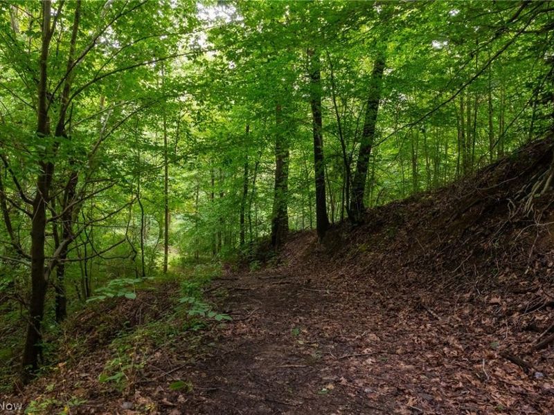 Harrons Ridge Road, Dexter City, OH 45727 Photo 30