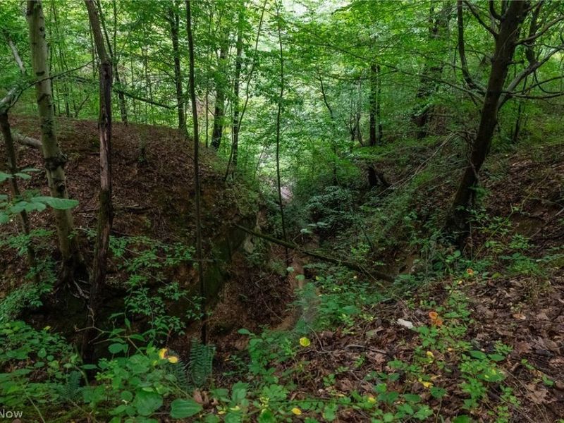 Harrons Ridge Road, Dexter City, OH 45727 Photo 31